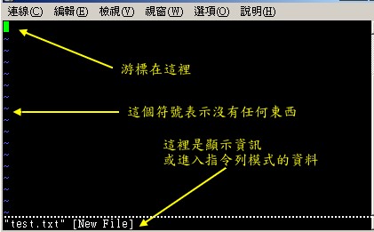 用 vi 开启一个新档案