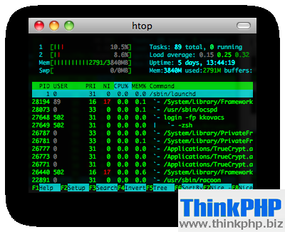 htop screenshot