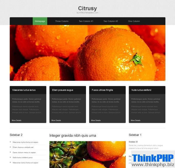 free-html5-responsive-template-6